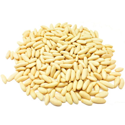 Piñon natural seleccionado de Pedrajas de San Esteban - Imagen 4